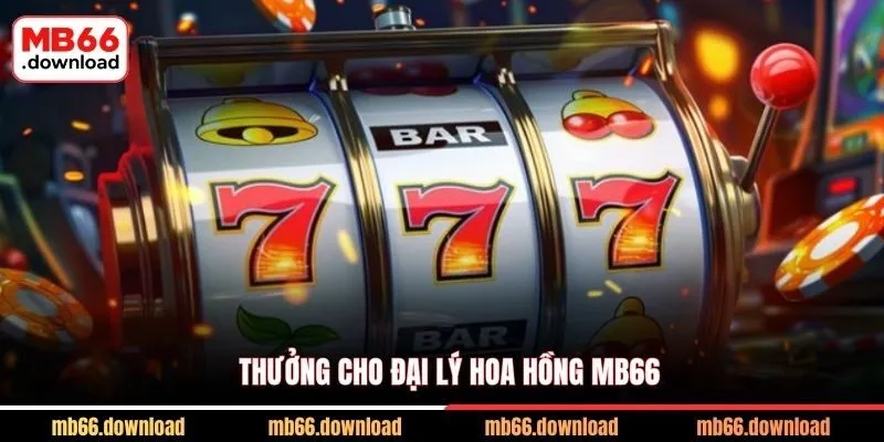 Trở Thành Đại Lý Hoa Hồng MB66 - Cơ Hội Khủng 3 Thưởng cho đại lý hoa hồng MB66